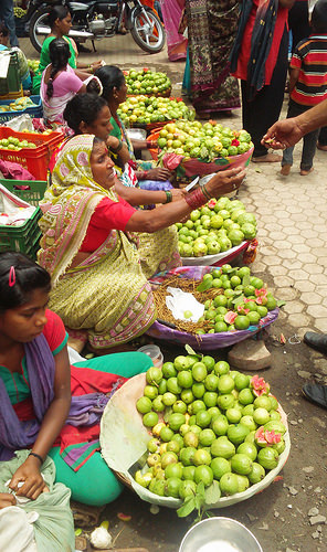 Guava Sellers